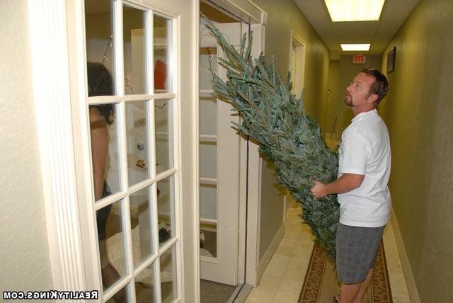 Тёлка в чулках раздвинула ноги 5 фотография Тёлка в чулках раздвинула ноги 5 фотография