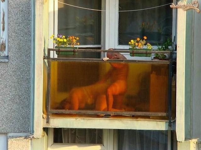Парочки трахаются совсем не скрываясь 12 фотография Парочки трахаются совсем не скрываясь 12 фотография
