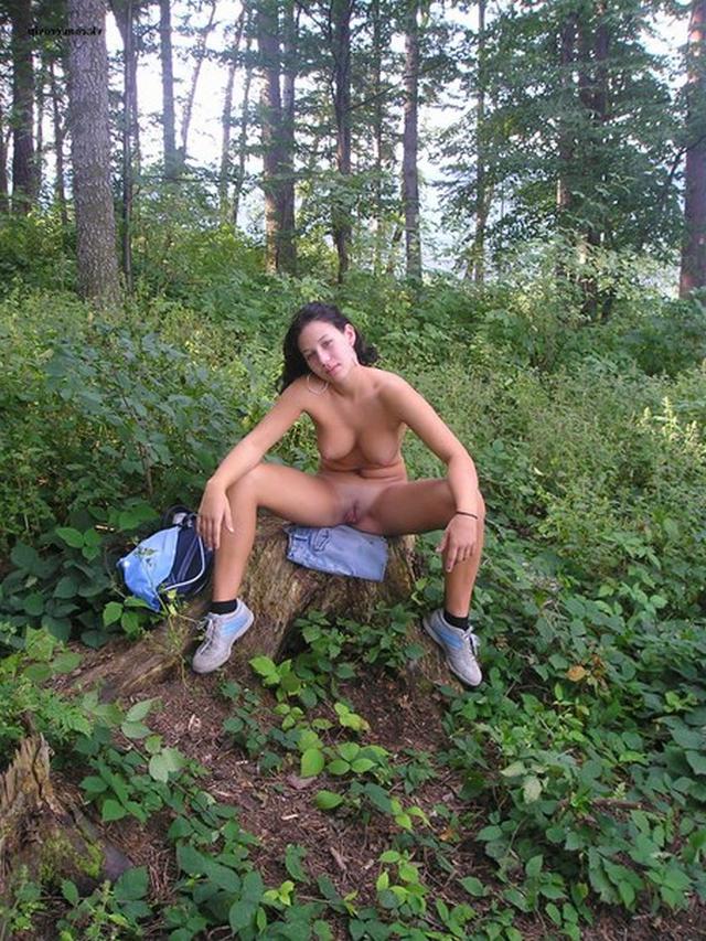 Обнаженная девушка позирует в лесу 9 фотография Обнаженная девушка позирует в лесу 9 фотография