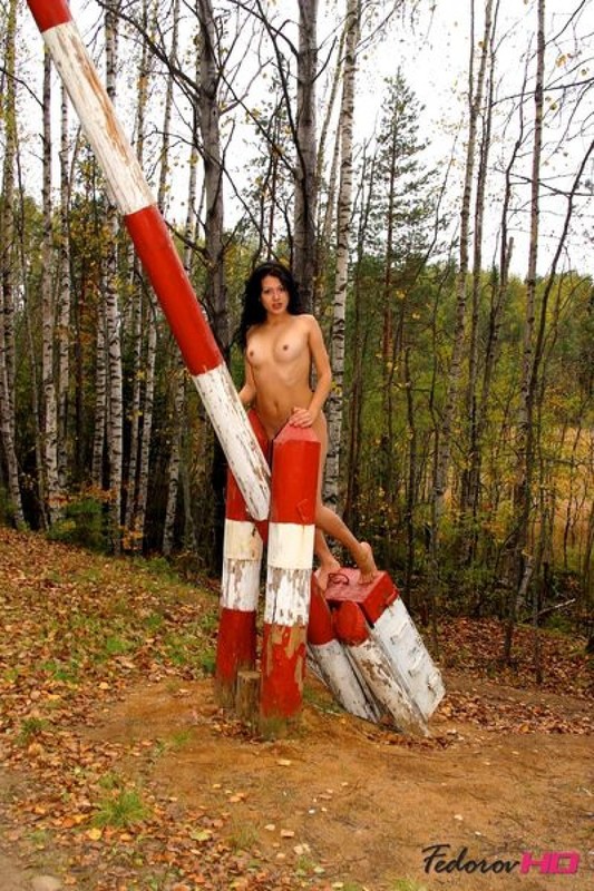 Модель показывает прелести в осеннем лесу 4 фотография Модель показывает прелести в осеннем лесу 4 фотография