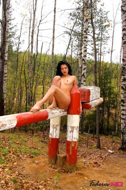 Модель показывает прелести в осеннем лесу 9 фотография Модель показывает прелести в осеннем лесу 9 фотография